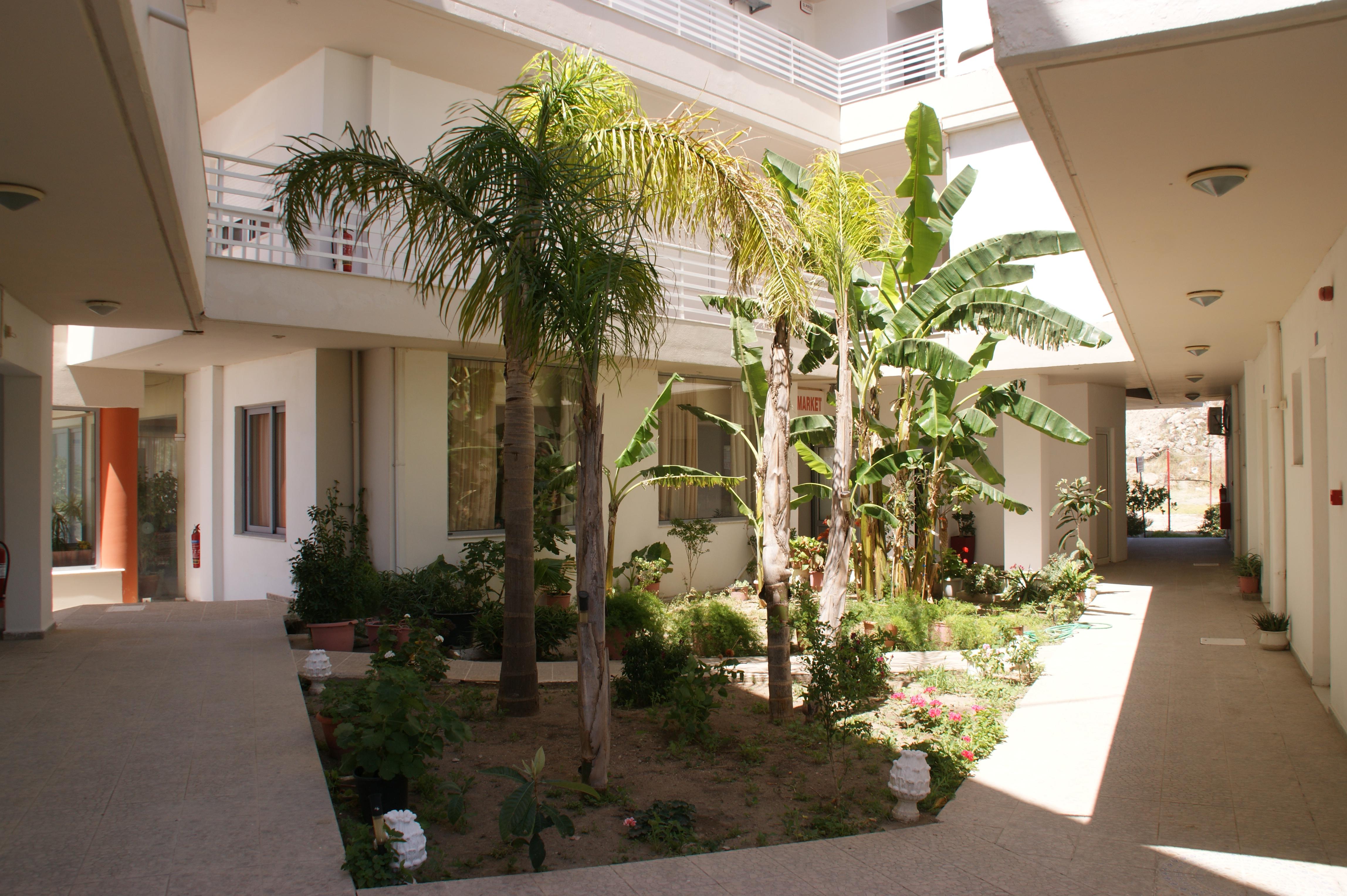 Faliraki Dream Studios & Apartments Buitenkant foto