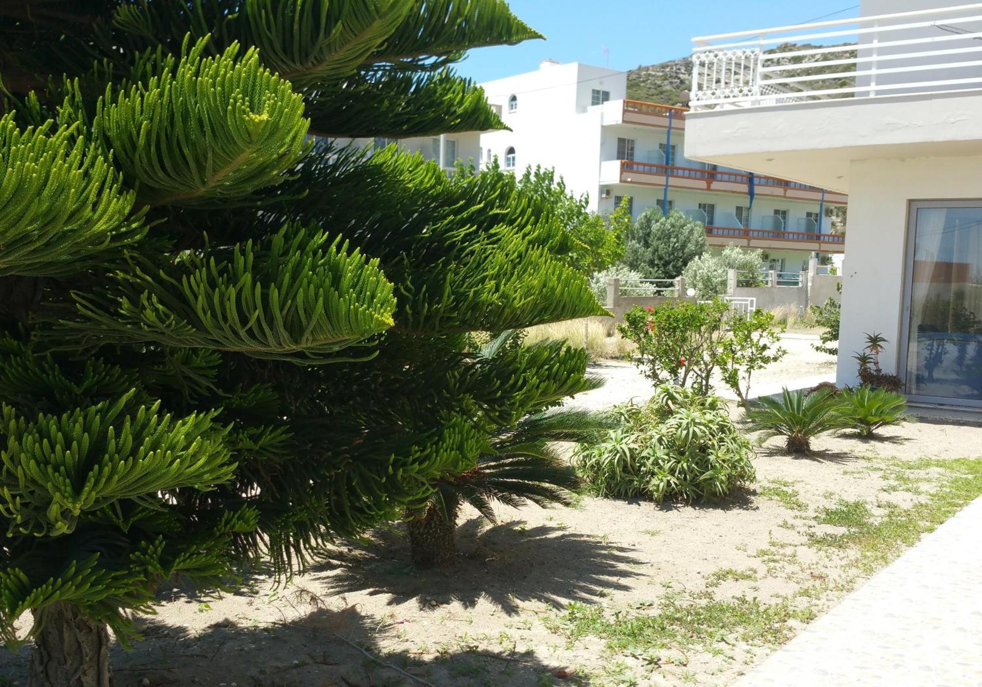Faliraki Dream Studios & Apartments Buitenkant foto